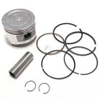 1.3 HCS i 1989- d 73.94  +0.5