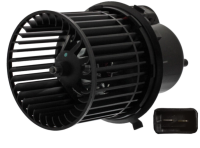 TRANSIT 1994-2025 (-AC)