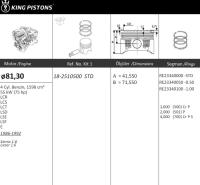 1.6 OHC Eco 1984-1992 d 81.3 std (6176511, 84HM 6102 AB)