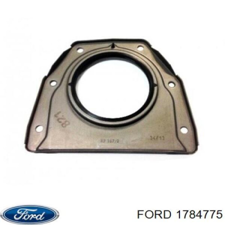 Zetec-S 1.25 / 1.4 / 1.6 задний коленвала