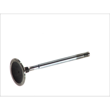 1.8 / 2.0 Zetec-E впуск 1998-2005 (33x6x98) 