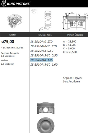 1.6 Ecoboost  79.0+1.0