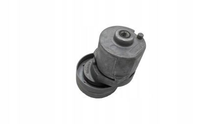 Zetec 1991-2000 Escort / Fiesta натяжной ролик ремня генератора (см. AL310)